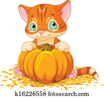 ernte, katzenbaby ernte, katzenbaby