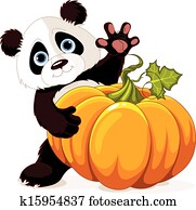 ernte, pandabaeren ernte, pandabaeren