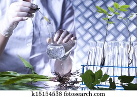 Experimenting with flora 