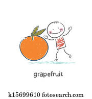 Grapefruit