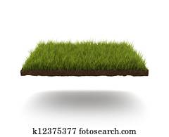 Green lawn Green lawn