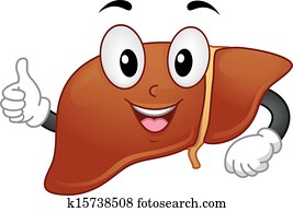 Happy Liver Happy Liver