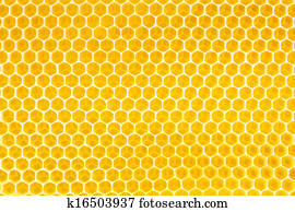 honey in honeycomb background honey in honeycomb background