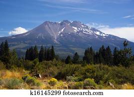 Hot Summer Day Weed California Base Mount Shasta Mountain