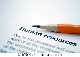 Human resources Human resources