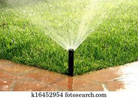 jardim, automático, sistema irrigação, aguando, gramado