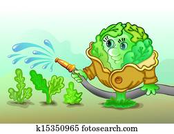 kohl kohl