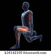 Leg workout Leg workout