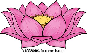lotusblüte lotusblüte