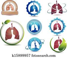 Lungs set Lungs set