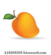 Mango Mango