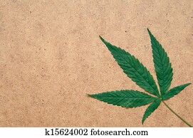 marijuana leaf marijuana leaf