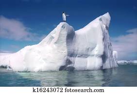 Melting iceberg