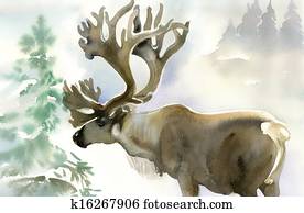 Moose in winter forest Moose in winter forest