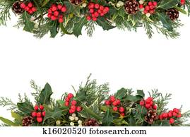 natal, holly, borda