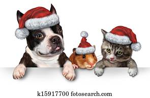 navidad, mascota, señal