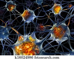 Neurons - 3d illustration.