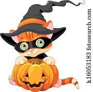 niedlich, halloween, katzenbaby niedlich, halloween, katzenbaby