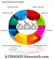 Nursing Home Options