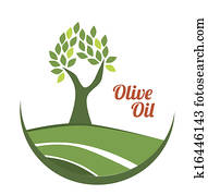 olive oil olive oil