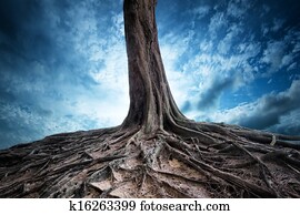 panorâmico, fundo, de, árvore velha, e, raizes, em, night., lua, luz, magia, e, mistério, paisagem