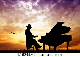 pianist in concert pianist in concert