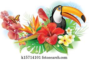 Red hibiscus, toucan and tropical flowers Red hibiscus, toucan and tropical flowers