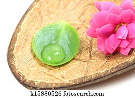 Spa flower on coconut shell