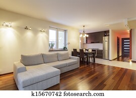 Spacious apartment - Living room Spacious apartment - Living room