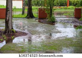 Spring flood Spring flood