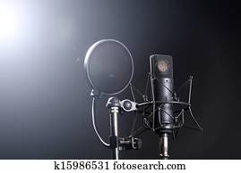 Studio Microphone Studio Microphone