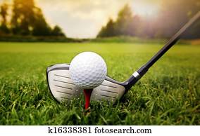 taco golfe, e, bola, em, capim