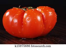 tomato tomato