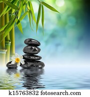  tower black stone and narcissus