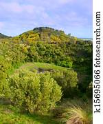 Tower Hill Victoria Australia