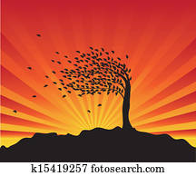 tree tree