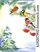Two birds and bullfinch on the snow Two birds and bullfinch on the snow
