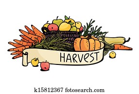 vegetables and fruits vegetables and fruits