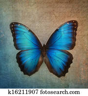 Vintage background with butterfly Vintage background with butterfly