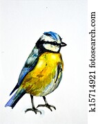 watercolor drawing of cute bird watercolor drawing of cute bird