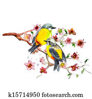 watercolor drawing of cute bird watercolor drawing of cute bird