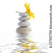 Stock Foto - gelbe blüten, auf, gestapelt, steine k5305863 - Suche