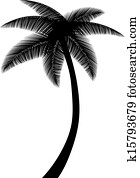 árvore palma, silueta