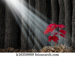 גדול, פוטנציאלי