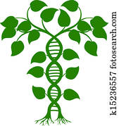 די.אנ.אי, טבע, שתול