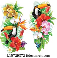 טרופי, flowers,, טאוכאן, ו, a, פרפרים