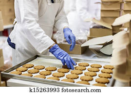 עוגיות, מפעל