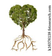 עץ, עם, עלווה, עם, ה, עצב, של, a, לב, ו, שורשים, כפי, טקסט, love., בלבן, רקע.