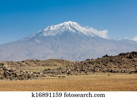 Ararat
