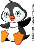 Baby penguin Baby penguin